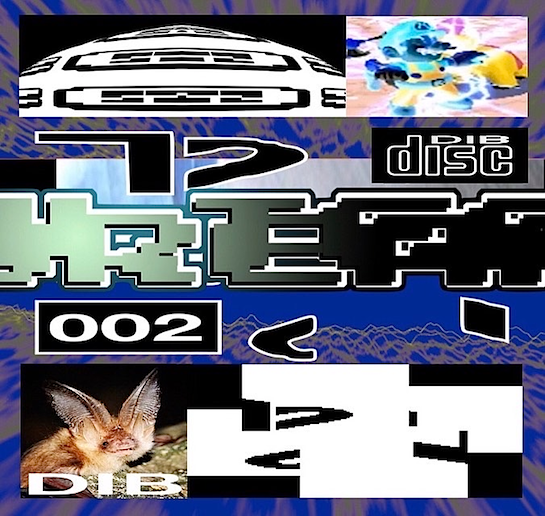 DIB DISCS 002 SQR front.png