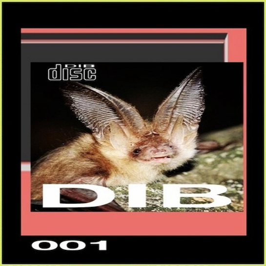 Dib Discs front 001.png